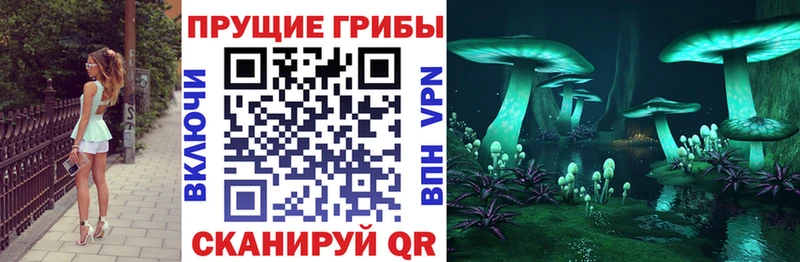 купить наркотики сайты  Лангепас  Галлюциногенные грибы Magic Shrooms 
